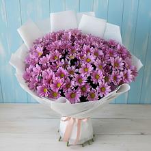 Букет цветов из:  Хризантемы в Каменке Воронежской области