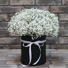 Цветочная композиция из Гипсофила в шляпной коробке #REPLACE_PRED# Каменке Воронежской области