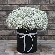 Цветочная композиция из Гипсофила в шляпной коробке в Каменке Воронежской области